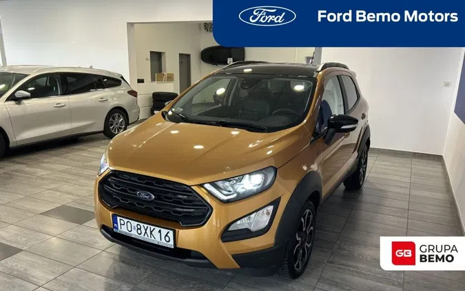 ford Ford EcoSport cena 91000 przebieg: 13000, rok produkcji 2022 z Poznań